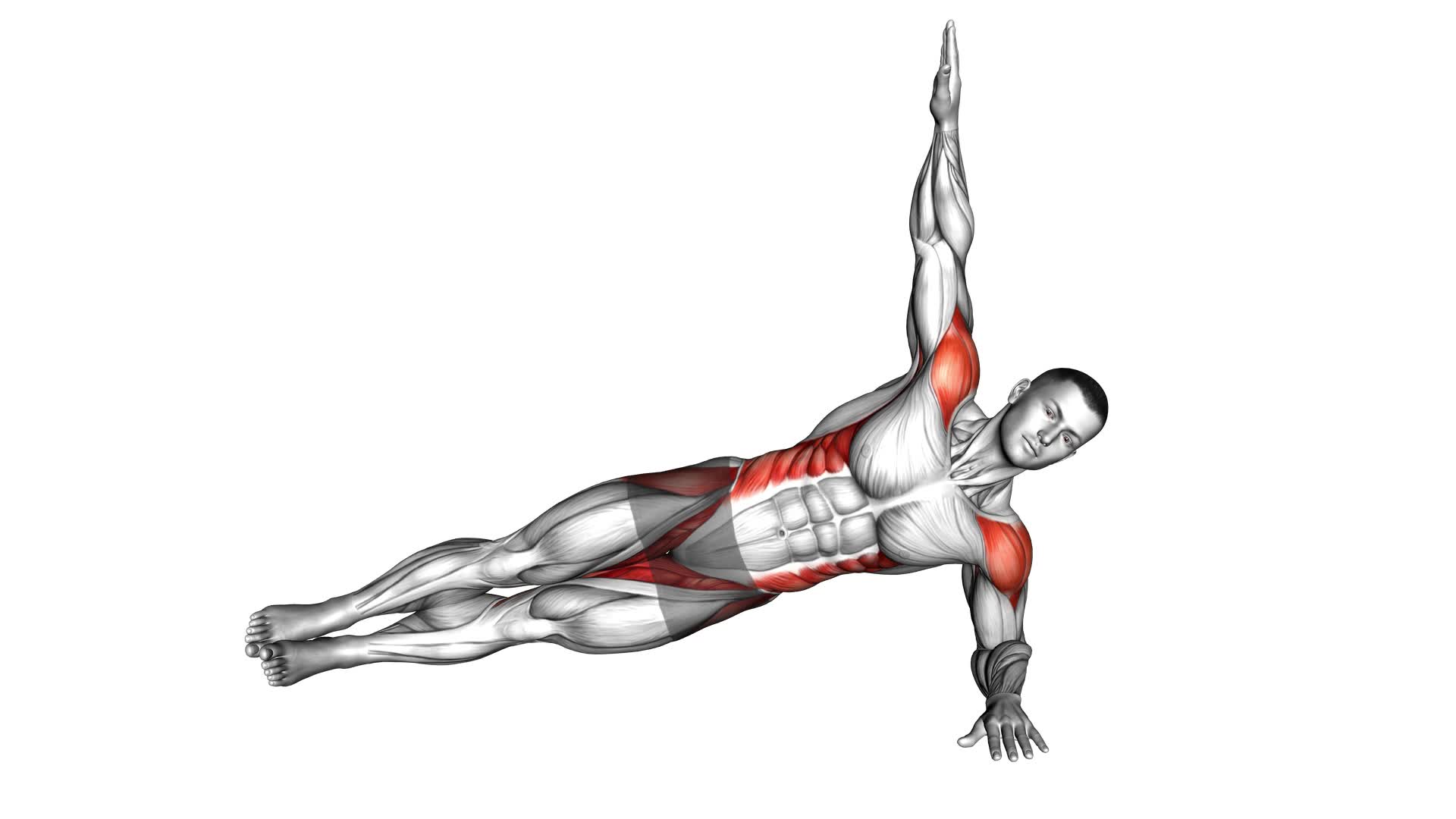 Side Plank Plus (male) - Video Exercise Guide & Tips