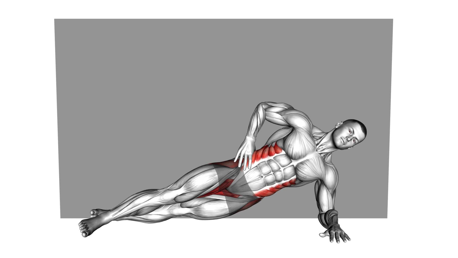 Side Plank Supported Wall (male) - Video Exercise Guide & Tips