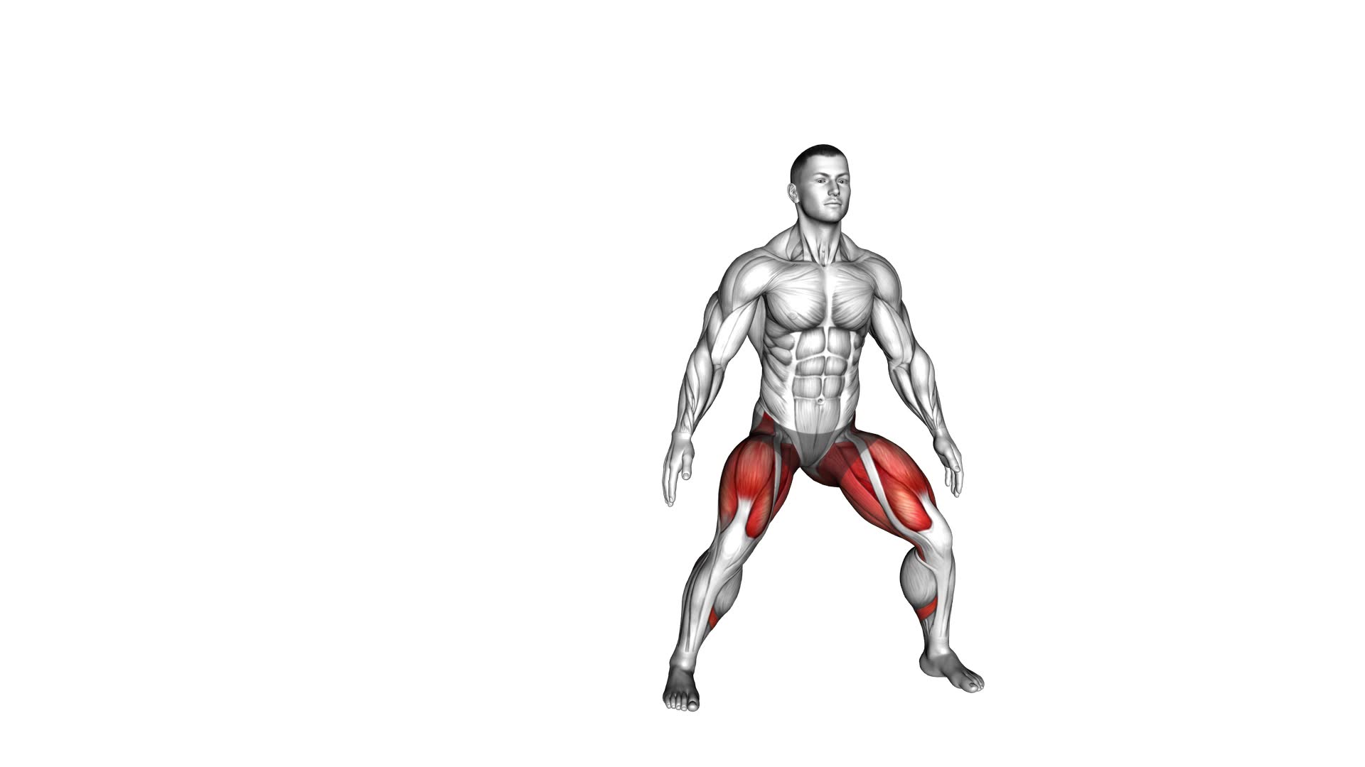 Side Squat Walk - Video Exercise Guide & Tips