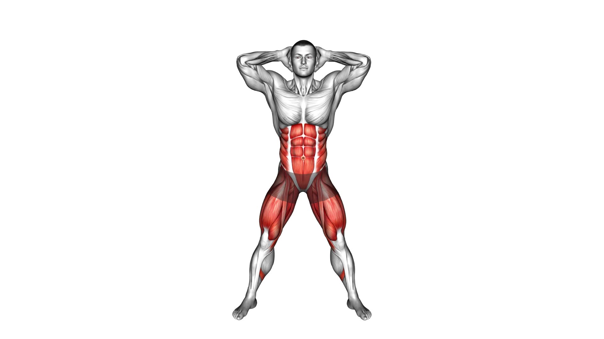 Side to Front Knee-up (male) - Video Exercise Guide & Tips