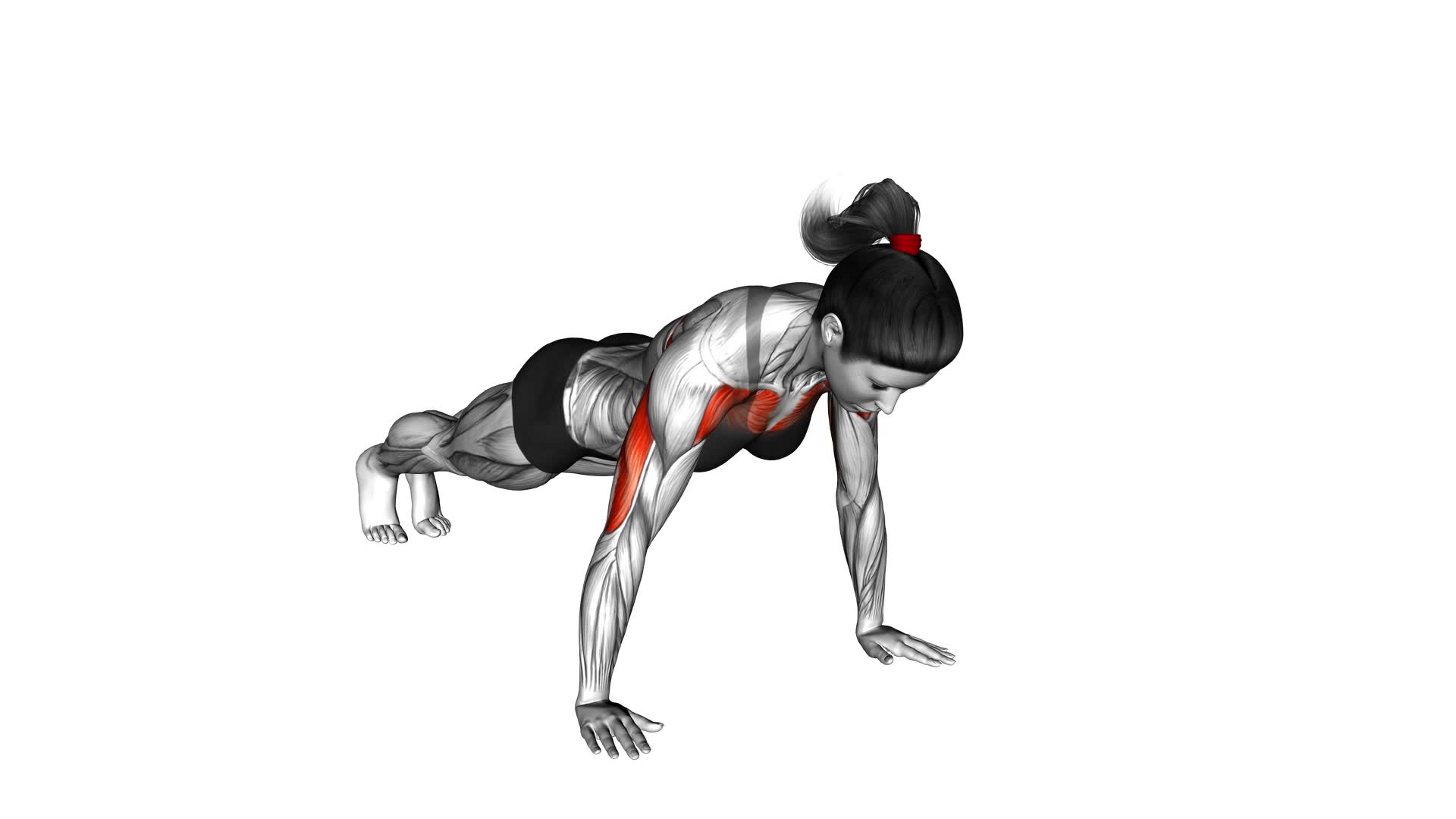 Side-to-Side Push-up (female) - Video Exercise Guide & Tips