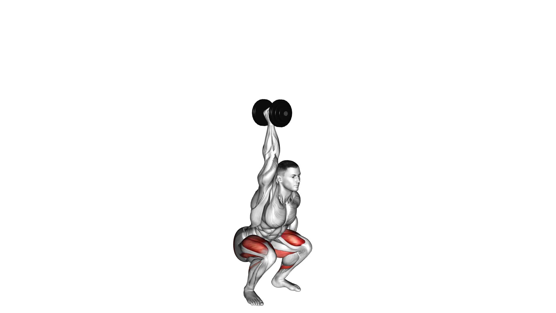 Single Arm Overhead Dumbbell Squat - Video Exercise Guide & Tips