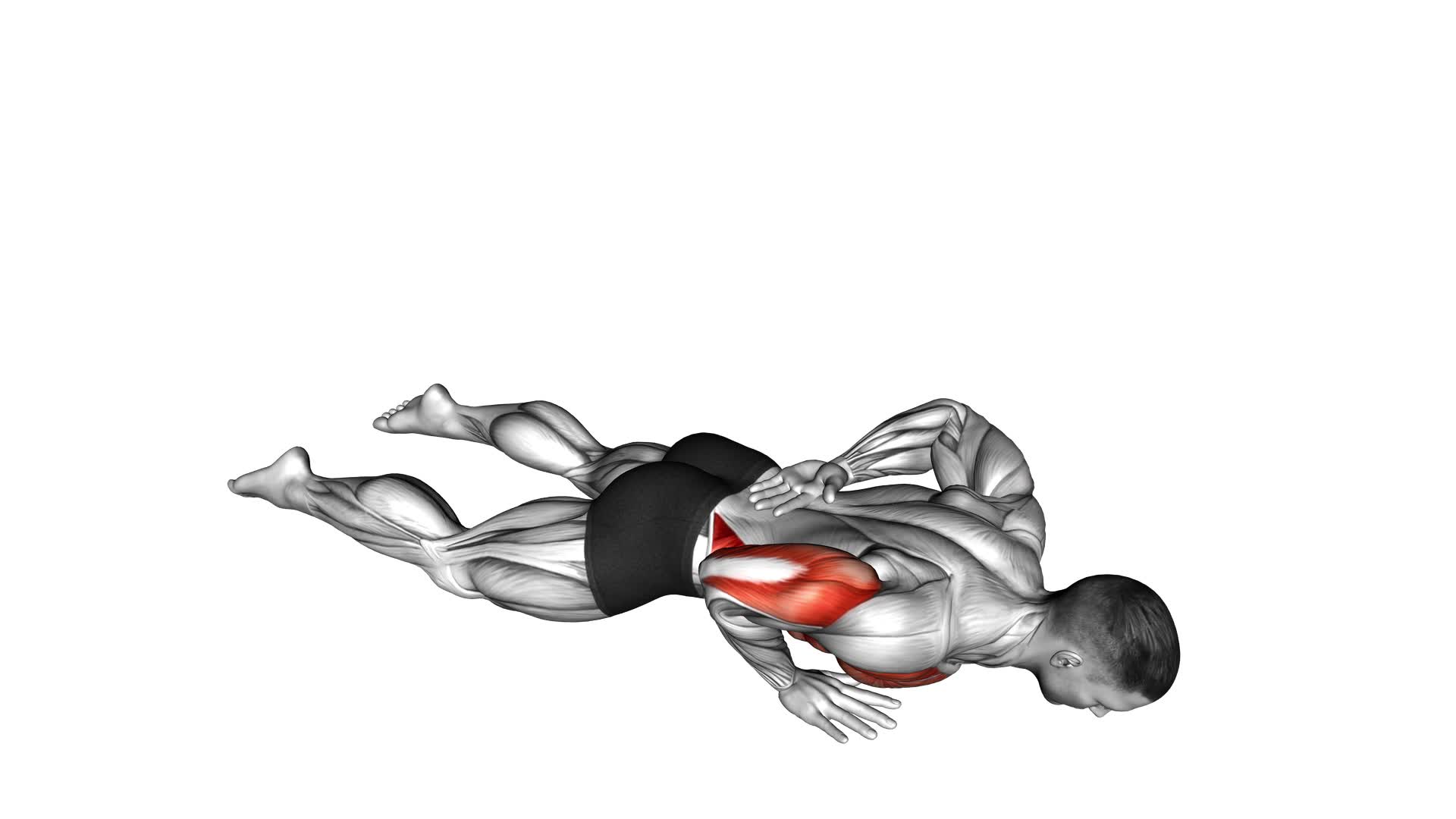 Single Arm Push-Up (On Knees) - Video Exercise Guide & Tips