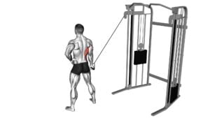 Single Arm Side Straight Arm Lat Pulldown (male) - Video Exercise Guide & Tips