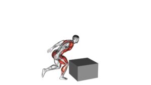Single Leg Box Jump - Video Exercise Guide & Tips