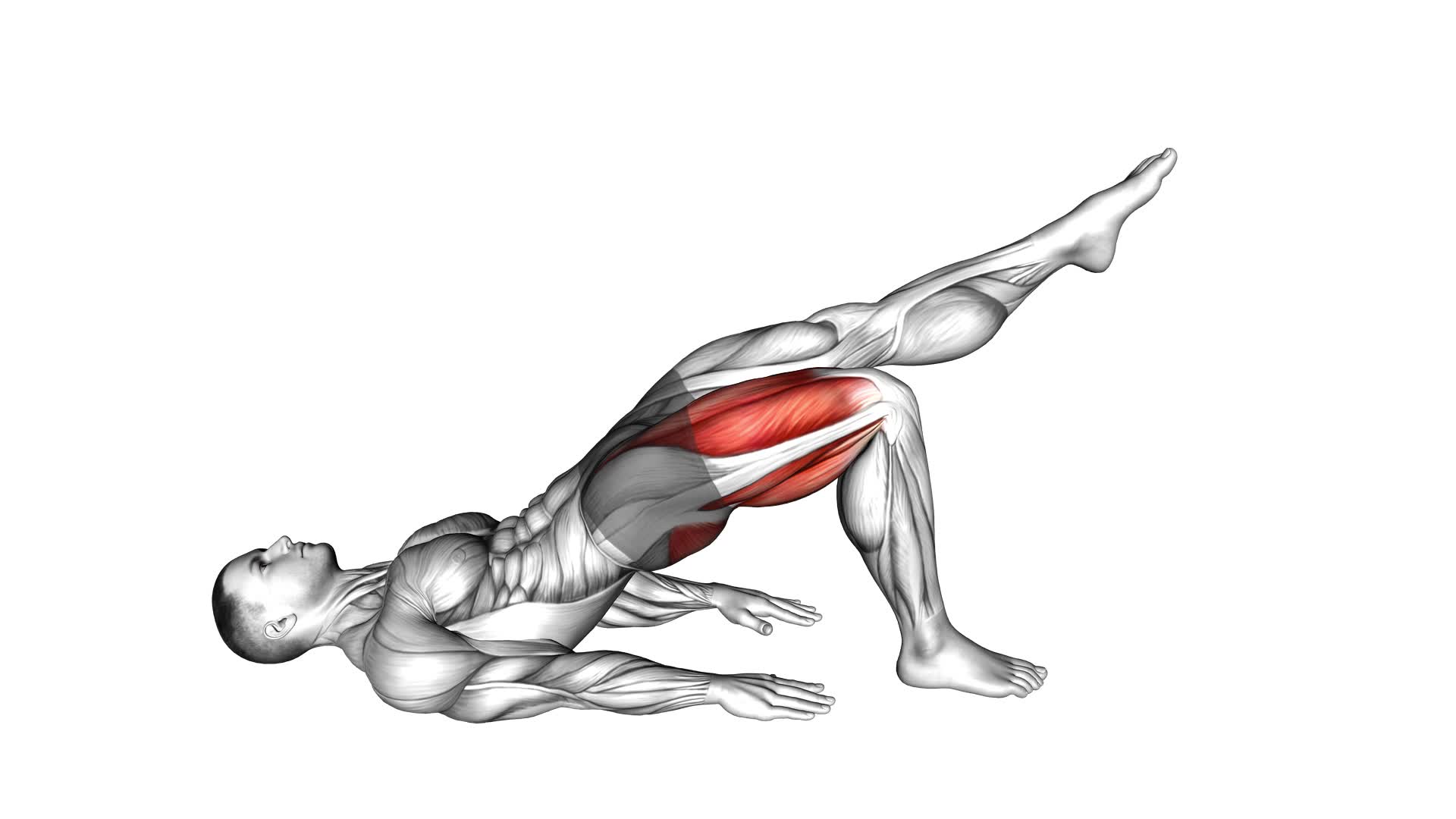 Single Leg Bridge With Outstretched Leg (Left) (Male) - Video Exercise Guide & Tips