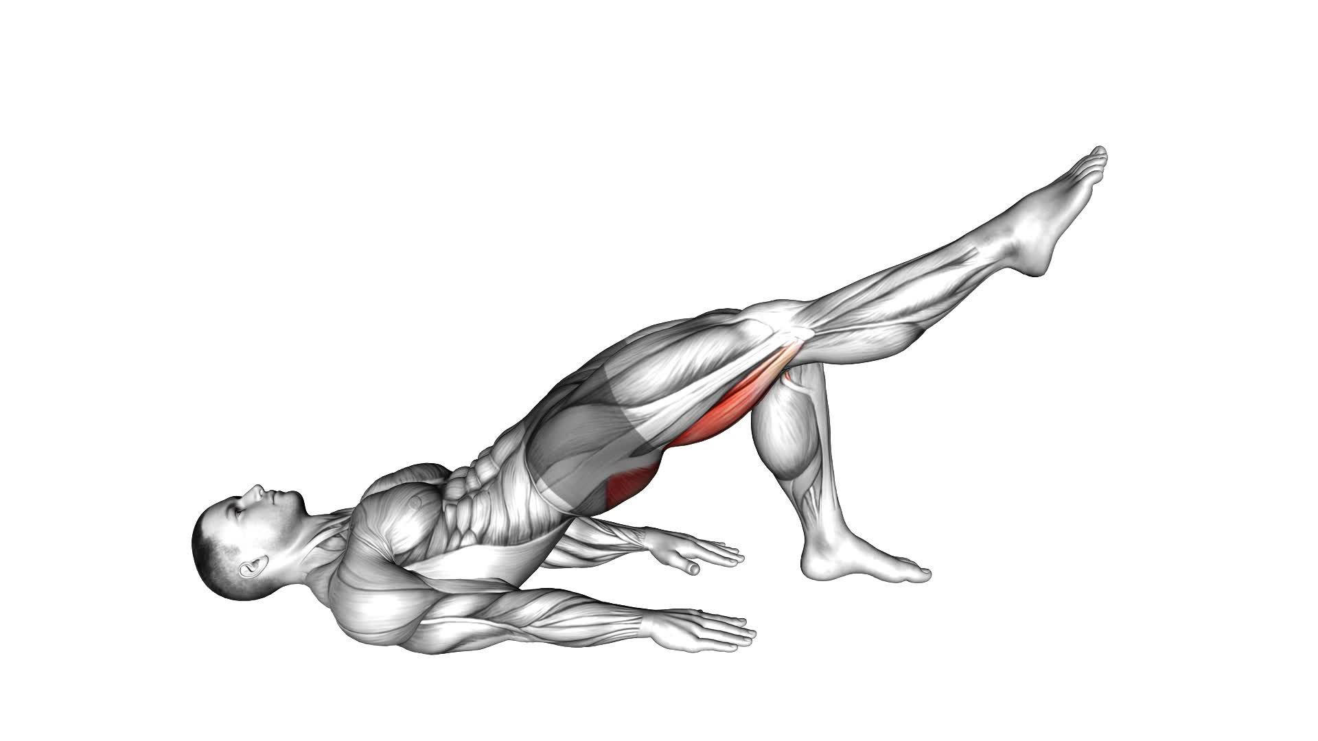 Single Leg Bridge With Outstretched Leg - Video Exercise Guide & Tips