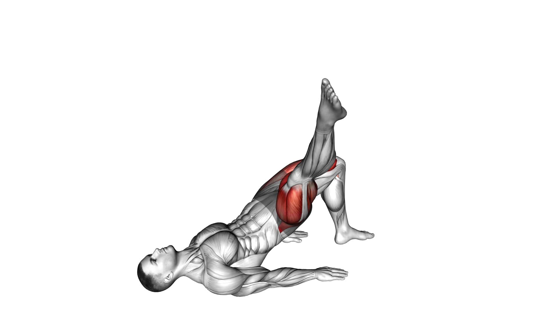 Single Leg Glute Bridge With External Rotation - Video Exercise Guide & Tips