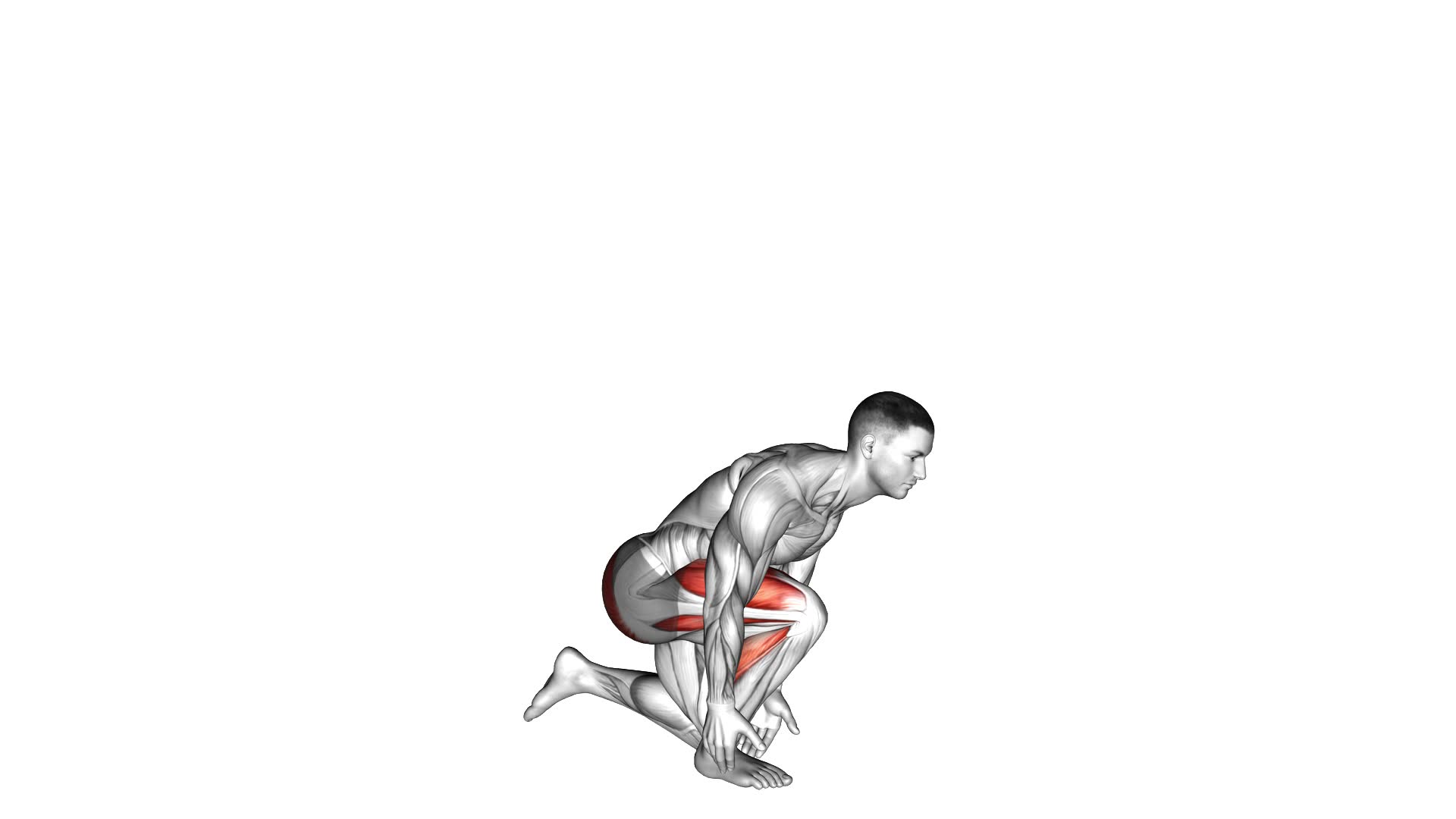 Single Leg Heel Touch Squat - Video Exercise Guide & Tips