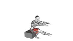 Single Leg Low Box Squat - Video Exercise Guide & Tips