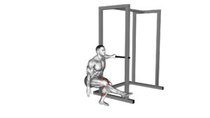 Single Leg Squat With Support (Pistol) - Video Exercise Guide & Tips