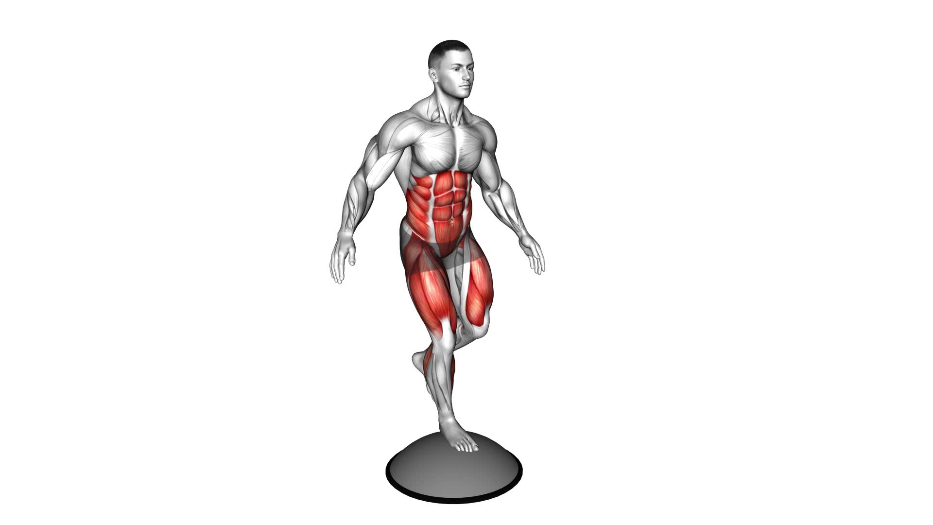 Single Leg Stand on Bosu Ball - Video Exercise Guide & Tips