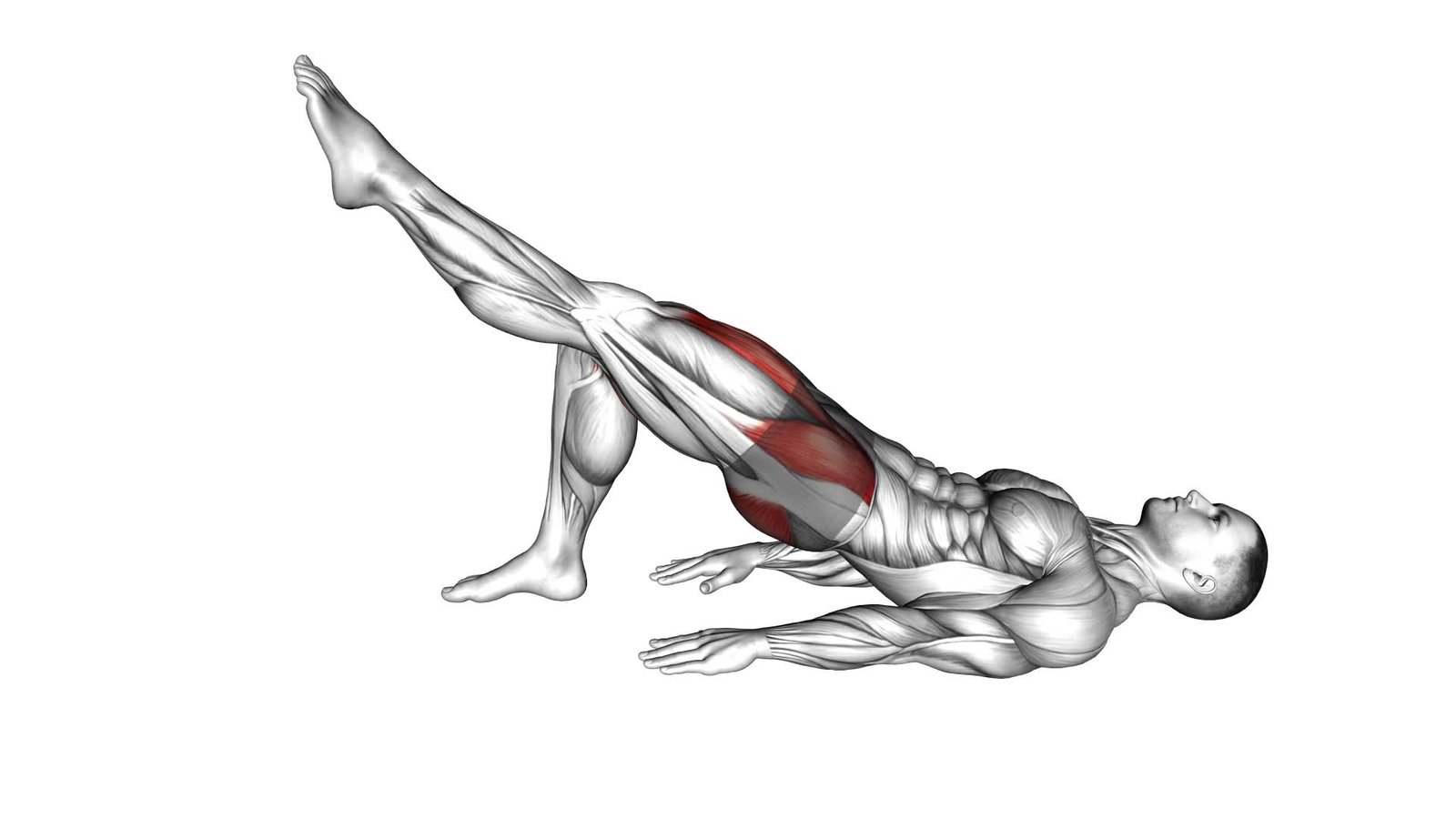 Single Straight Leg Glute Bridge Hold (male) - Video Exercise Guide & Tips