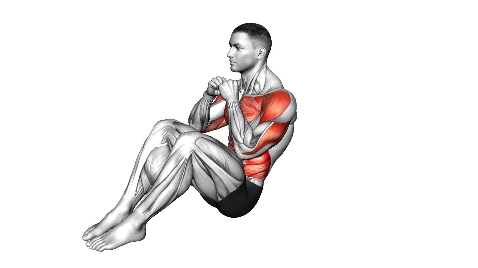 Sit-up Punches (male) - Video Exercise Guide & Tips