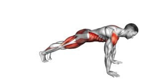 Sit-up to Mountain Hop (male) - Video Exercise Guide & Tips