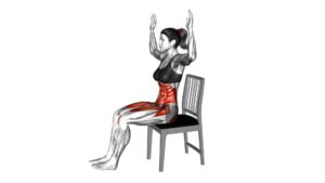 Sitting Air Bike on a Chair (female) - Video Exercise Guide & Tips