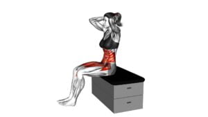 Sitting Air Twisting Crunch on a Padded Stool (Female) - Video Exercise Guide & Tips