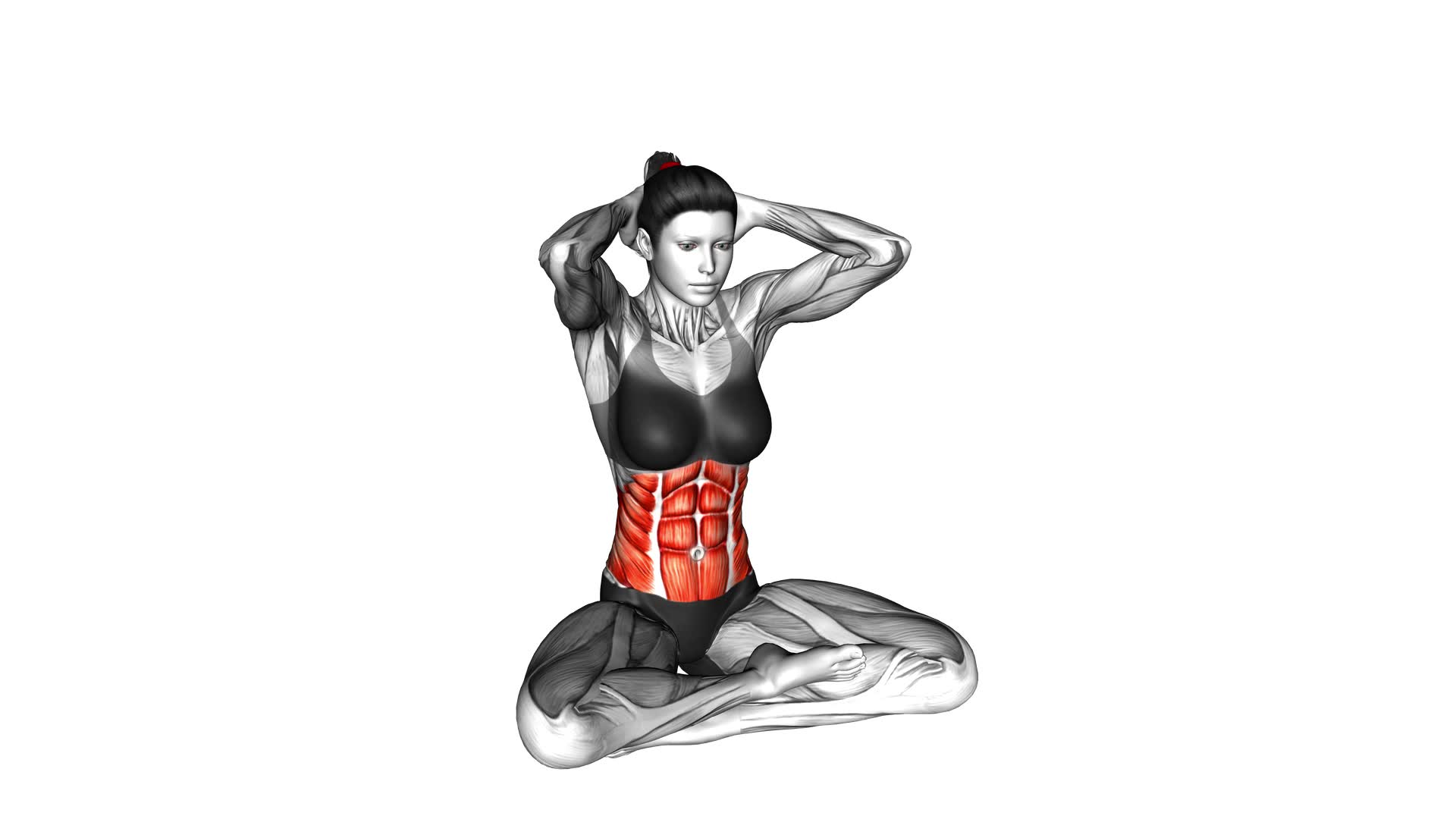 Sitting Cat Cow Pose (female) - Video Exercise Guide & Tips