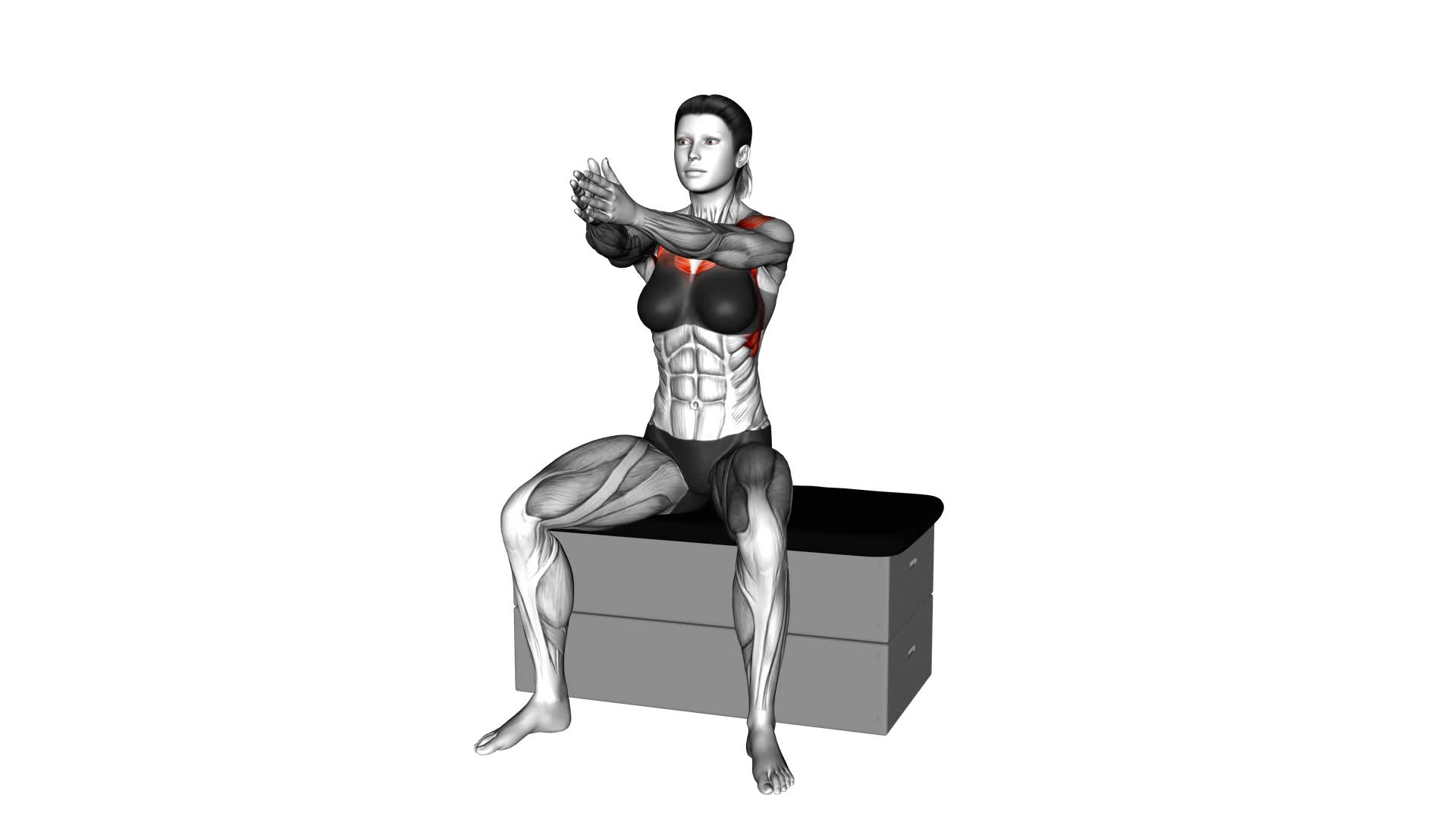 Sitting Chest Clap on a Padded Stool (Female) - Video Exercise Guide & Tips