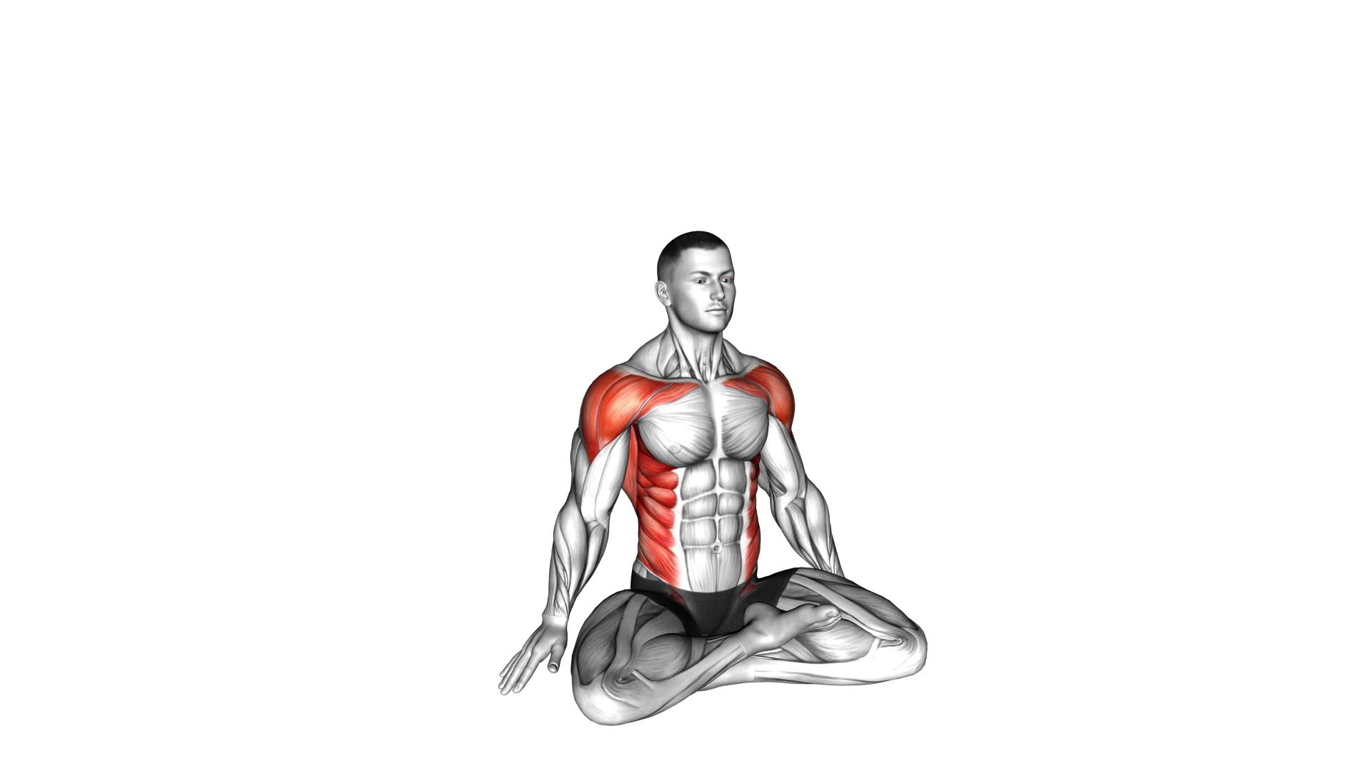 Sitting Dynamic Side Stretch (male) - Video Exercise Guide & Tips