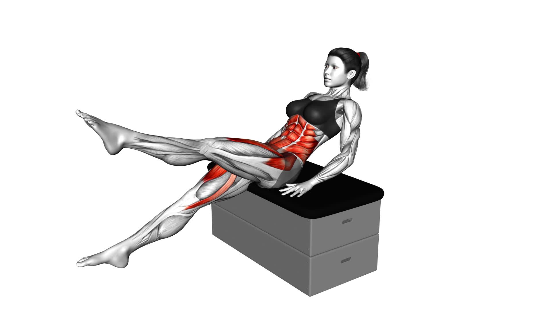 Sitting Flutter Kick on a Padded Stool (Female) - Video Exercise Guide & Tips