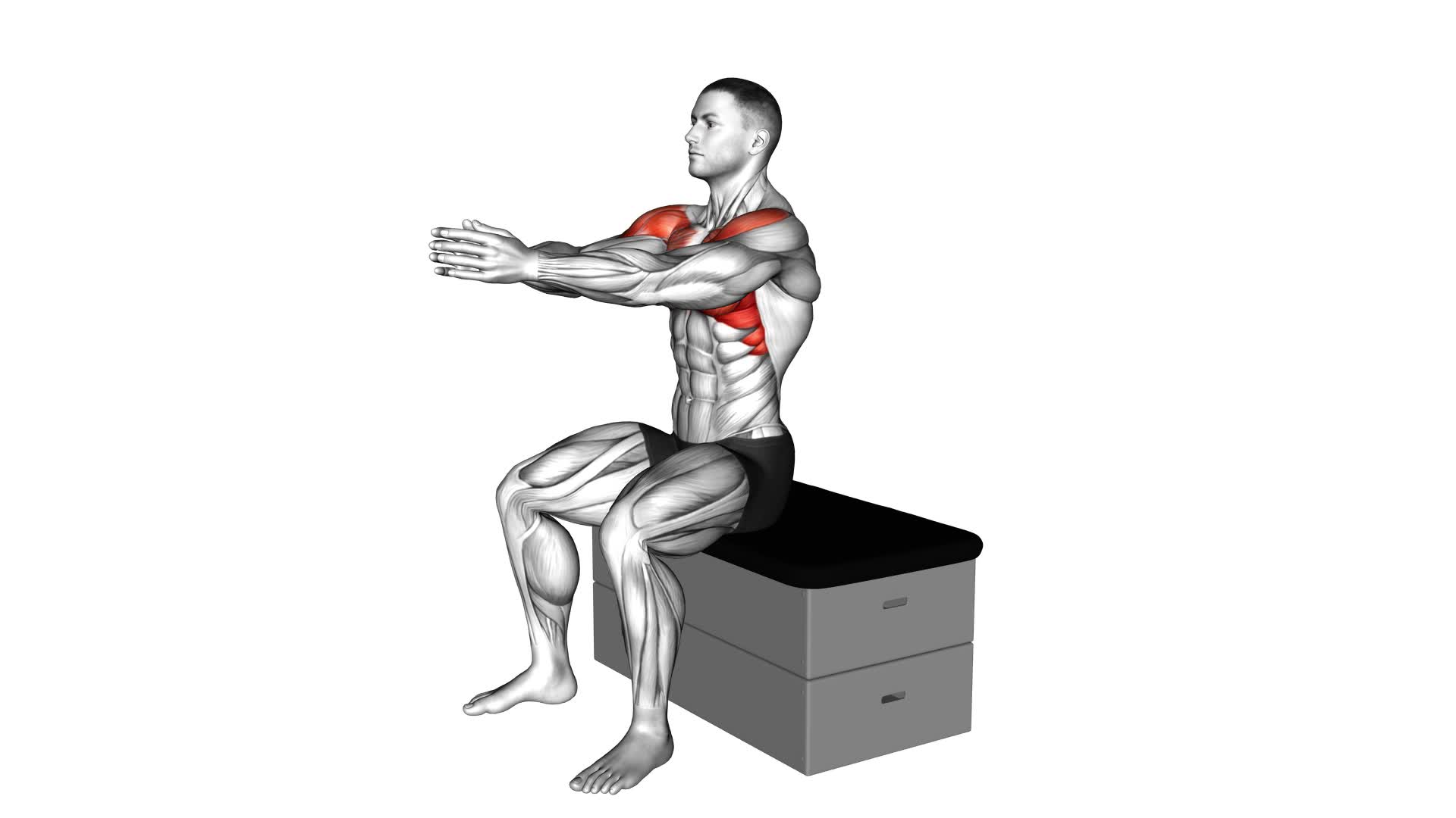 Sitting Fly on a Padded Stool - Video Exercise Guide & Tips