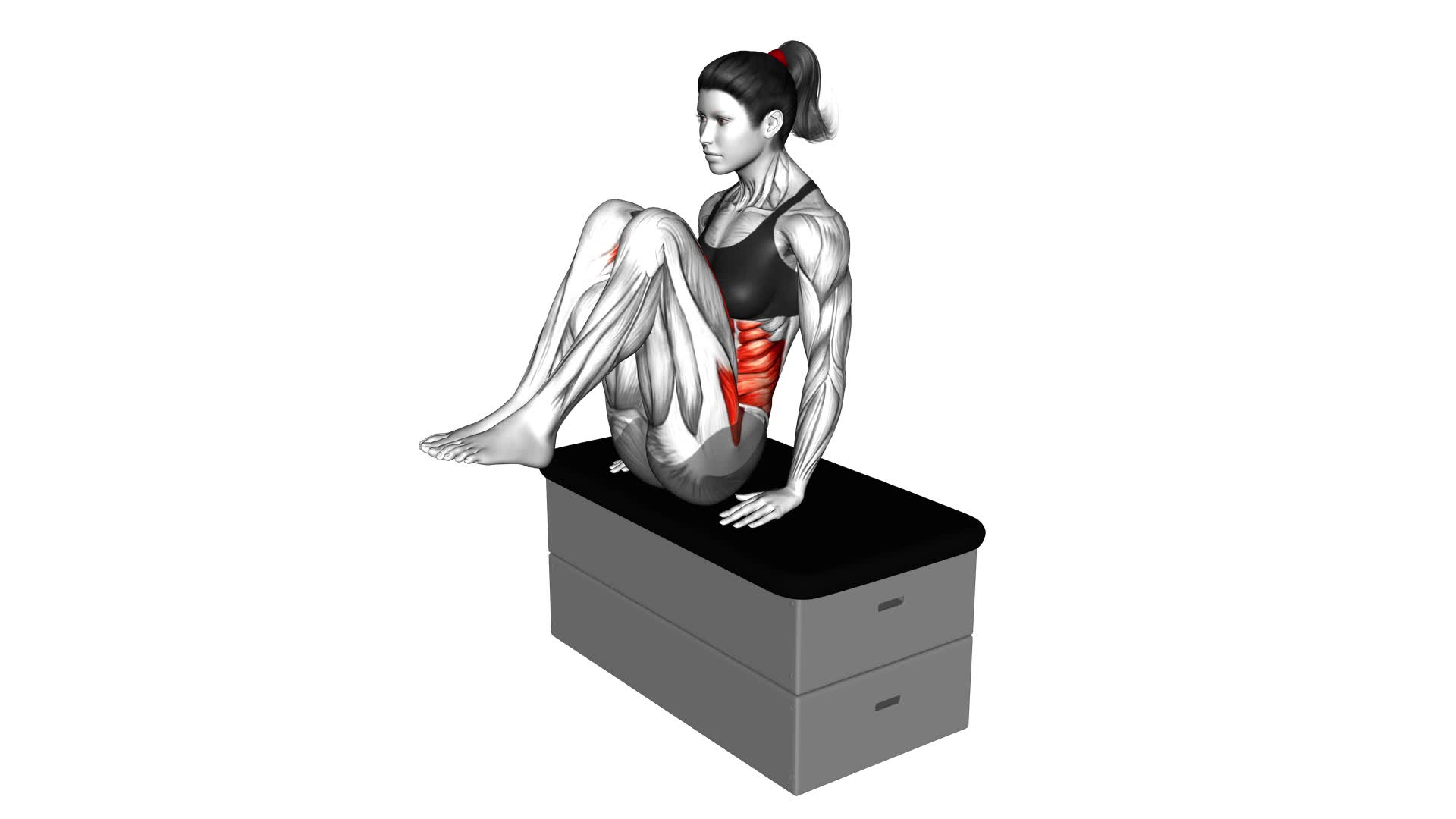 Sitting in Out Leg Raise on a Padded Stool (Female) - Video Exercise Guide & Tips