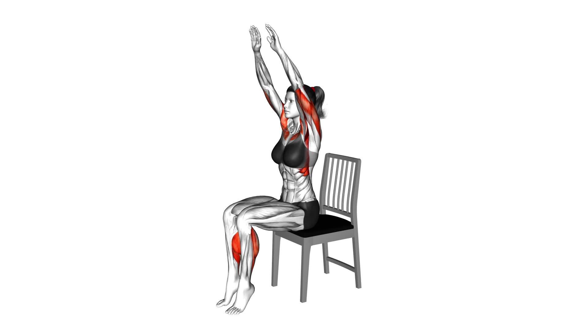 Sitting Incline Press Calf Raise on a Chair (female) - Video Exercise Guide & Tips