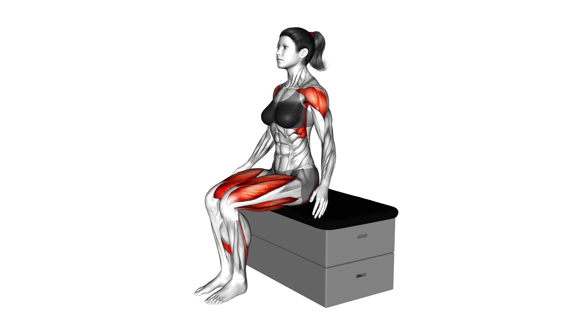 Sitting Lateral Raise Stepout on a Padded Stool (Female) - Video Exercise Guide & Tips
