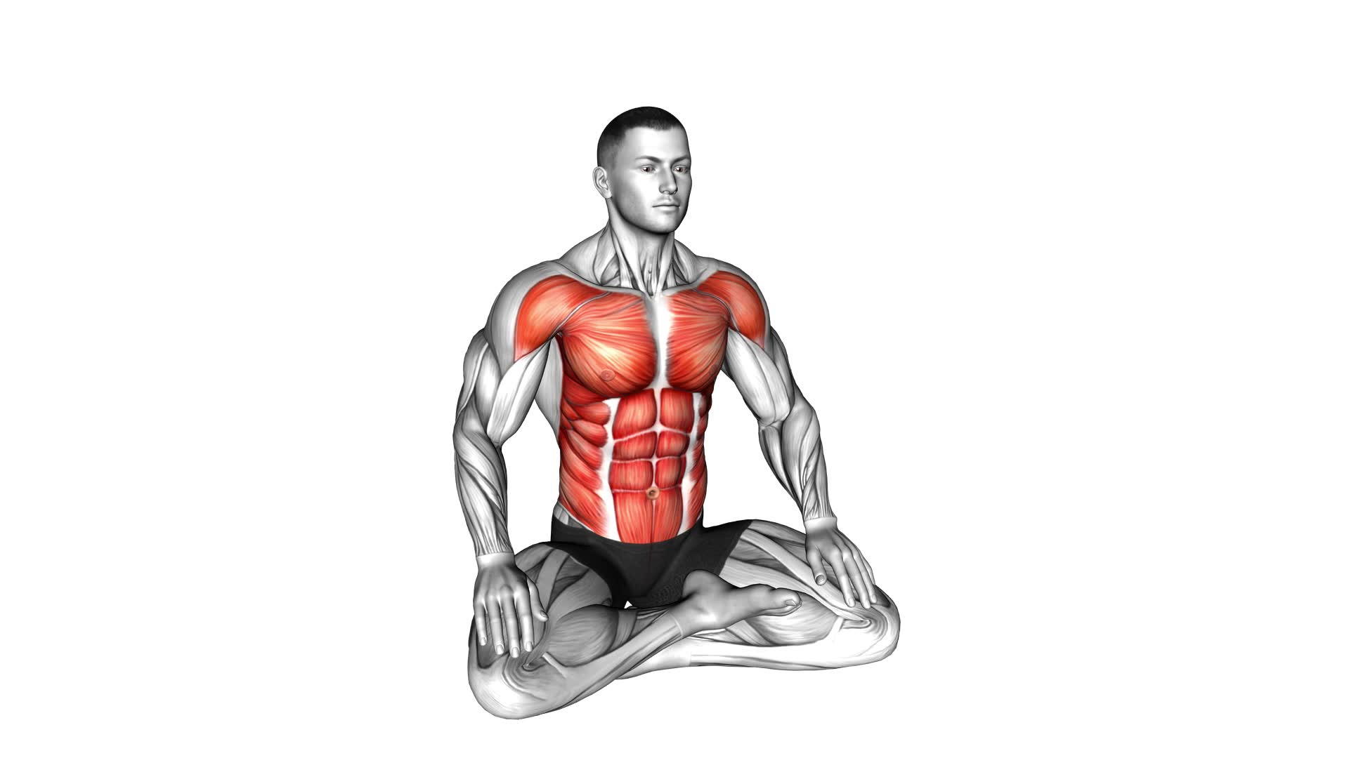 Sitting Opposite Tap (male) - Video Exercise Guide & Tips