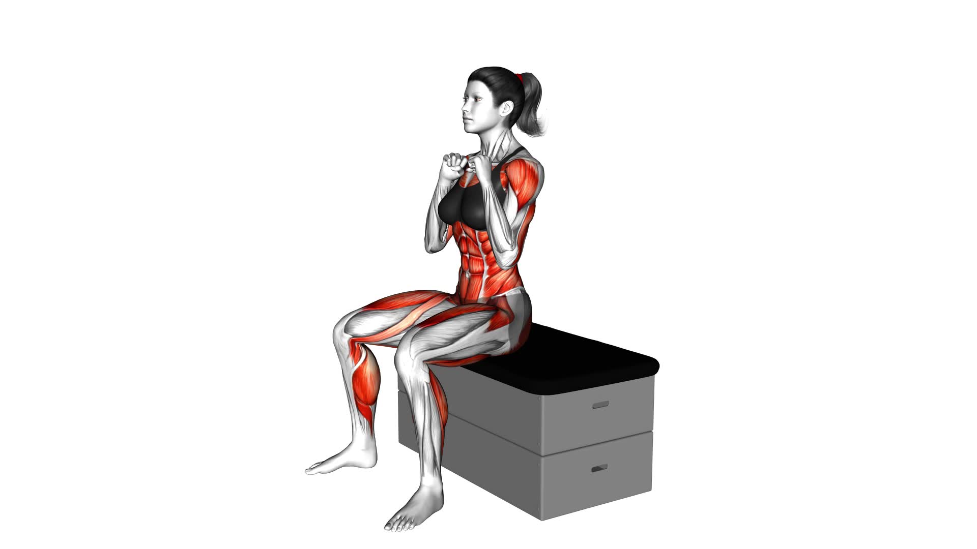 Sitting Punch Knee Tap on a Padded Stool (Female) - Video Exercise Guide & Tips