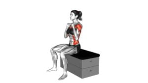 Sitting Punch on a Padded Stool (Female) - Video Exercise Guide & Tips