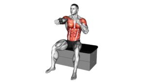 Sitting Punch on a Padded Stool - Video Exercise Guide & Tips