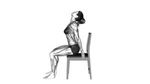 Sitting Scapular Adduction (female) - Video Exercise Guide & Tips