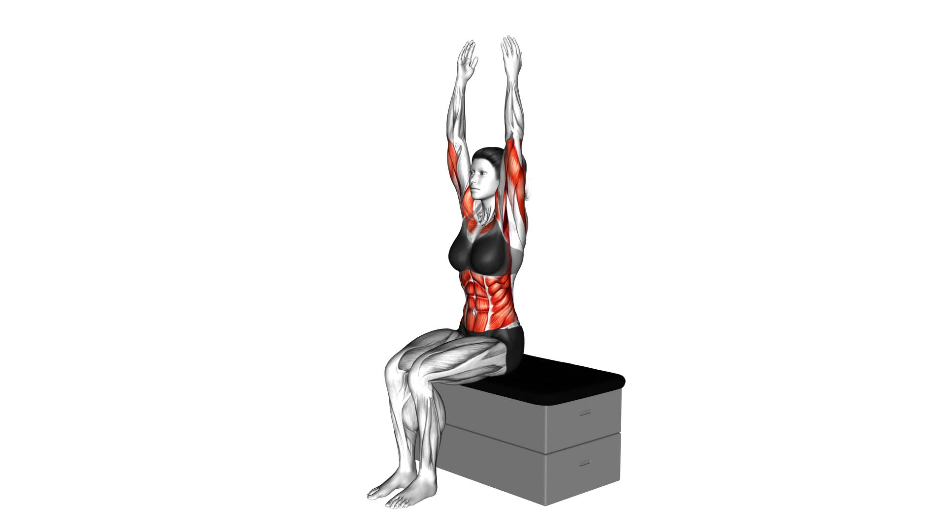 Sitting Shoulder Press Toe Touch on a Padded Stool (Female) - Video Exercise Guide & Tips