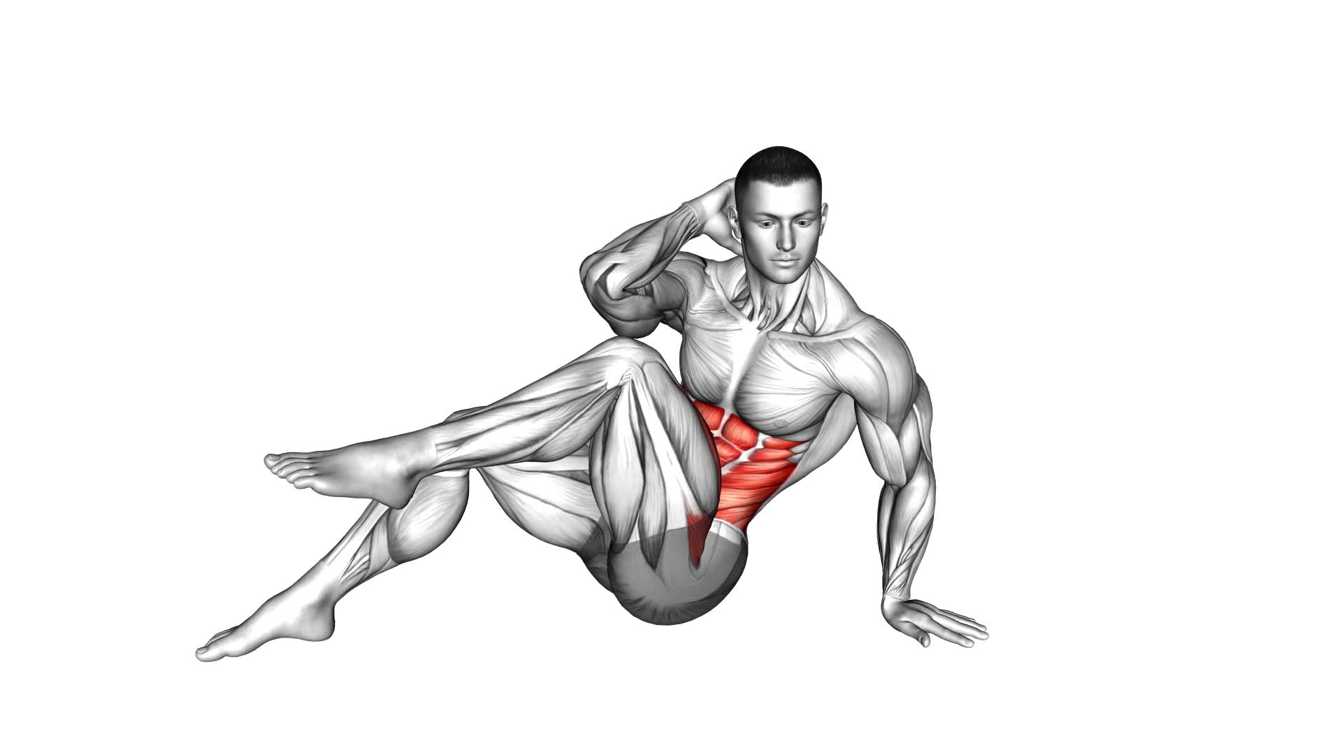 Sitting Side Crunch (male) - Video Exercise Guide & Tips