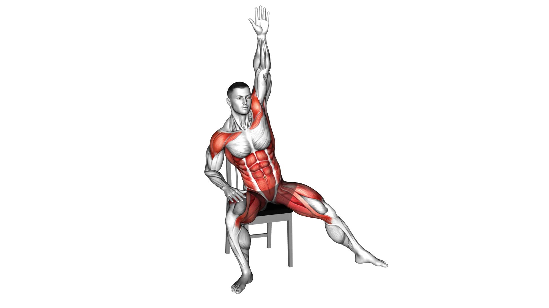 Sitting Side Step on Chair (male) - Video Exercise Guide & Tips