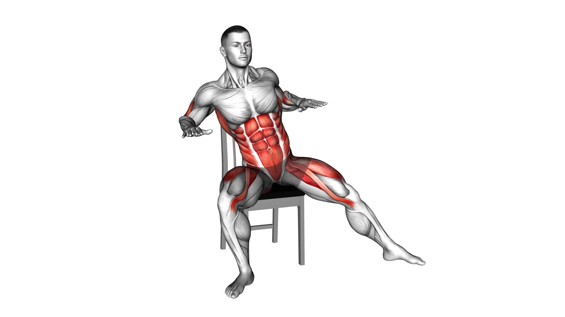 Sitting Side Step Row on Chair (male) - Video Exercise Guide & Tips