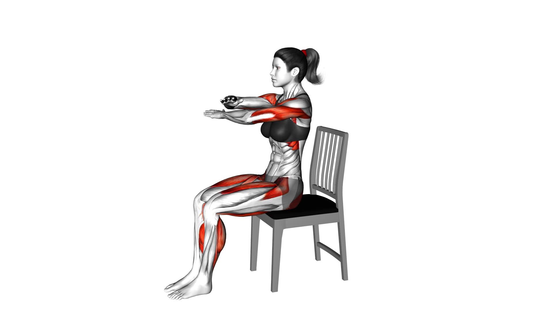 Sitting Swimming Knee Raise on a Chair (female) - Video Exercise Guide & Tips