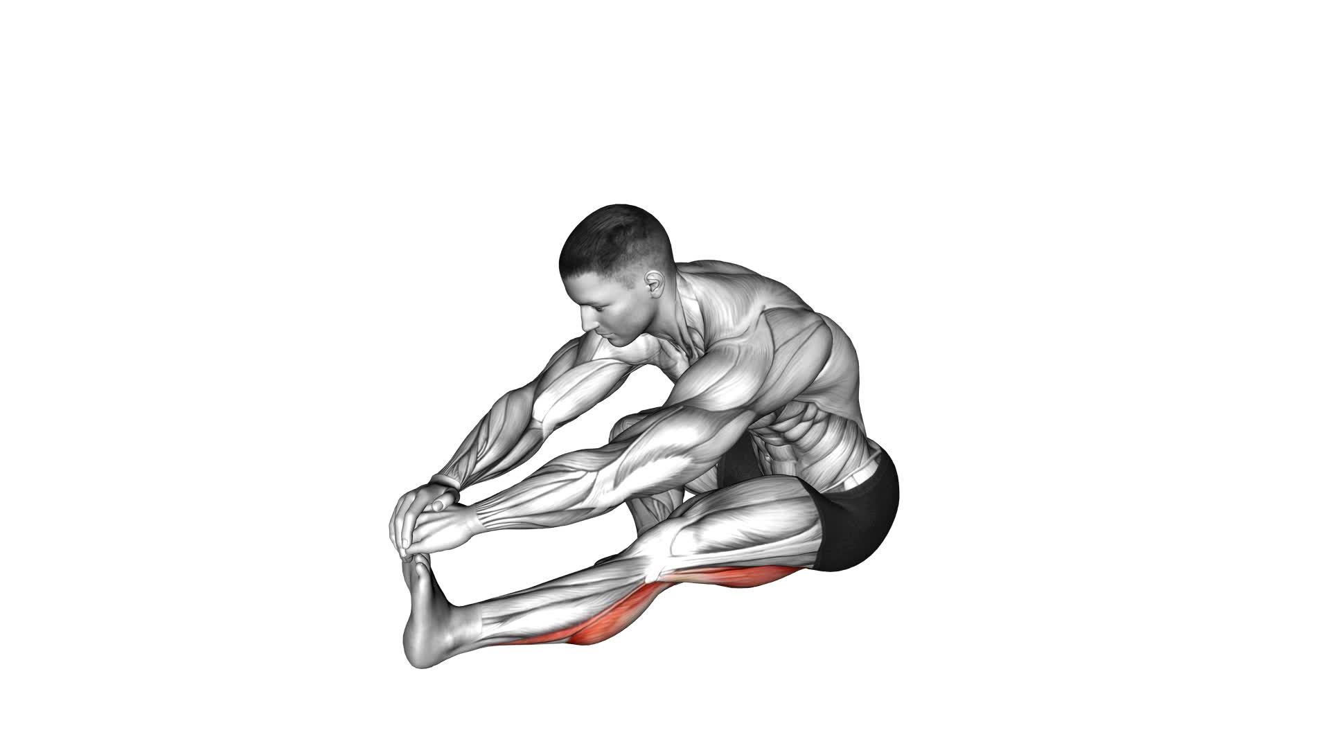 Sitting Toe Pull Calf Stretch - Video Exercise Guide & Tips