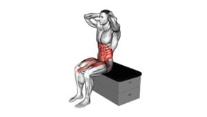 Sitting Twist Knee Raise on a Padded Stool - Video Exercise Guide & Tips