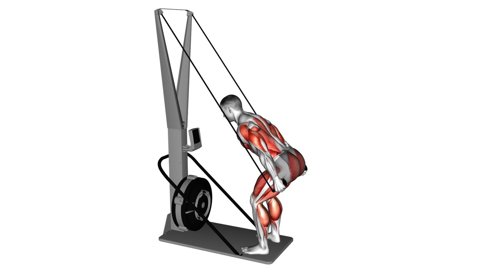 Ski Ergometer Ultimate Exercise Guide Tips