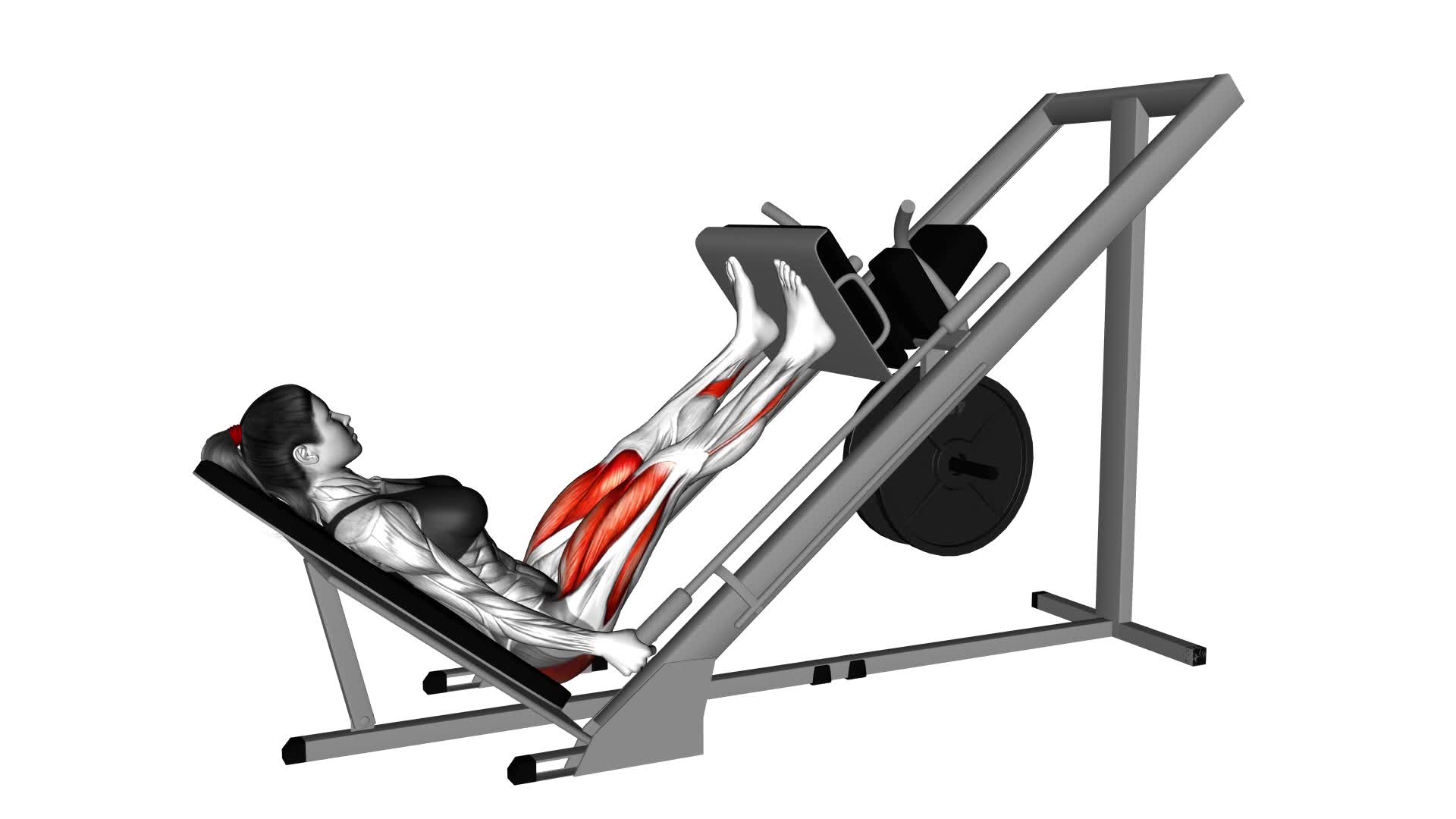 Sled 45 Degrees Leg Press (Female) - Video Exercise Guide & Tips