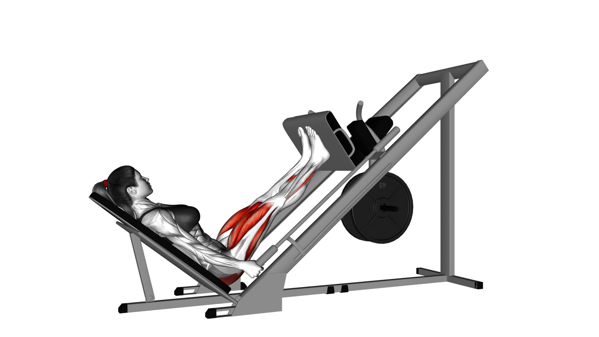 Sled 45 Degrees Narrow Stance Leg Press (Female) - Video Exercise Guide & Tips