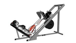 Sled 45 Degrees One Leg Press (Female) - Video Exercise Guide & Tips