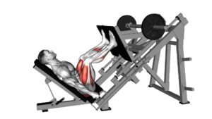 Sled Glute Dominant Leg Press (male) - Video Exercise Guide & Tips