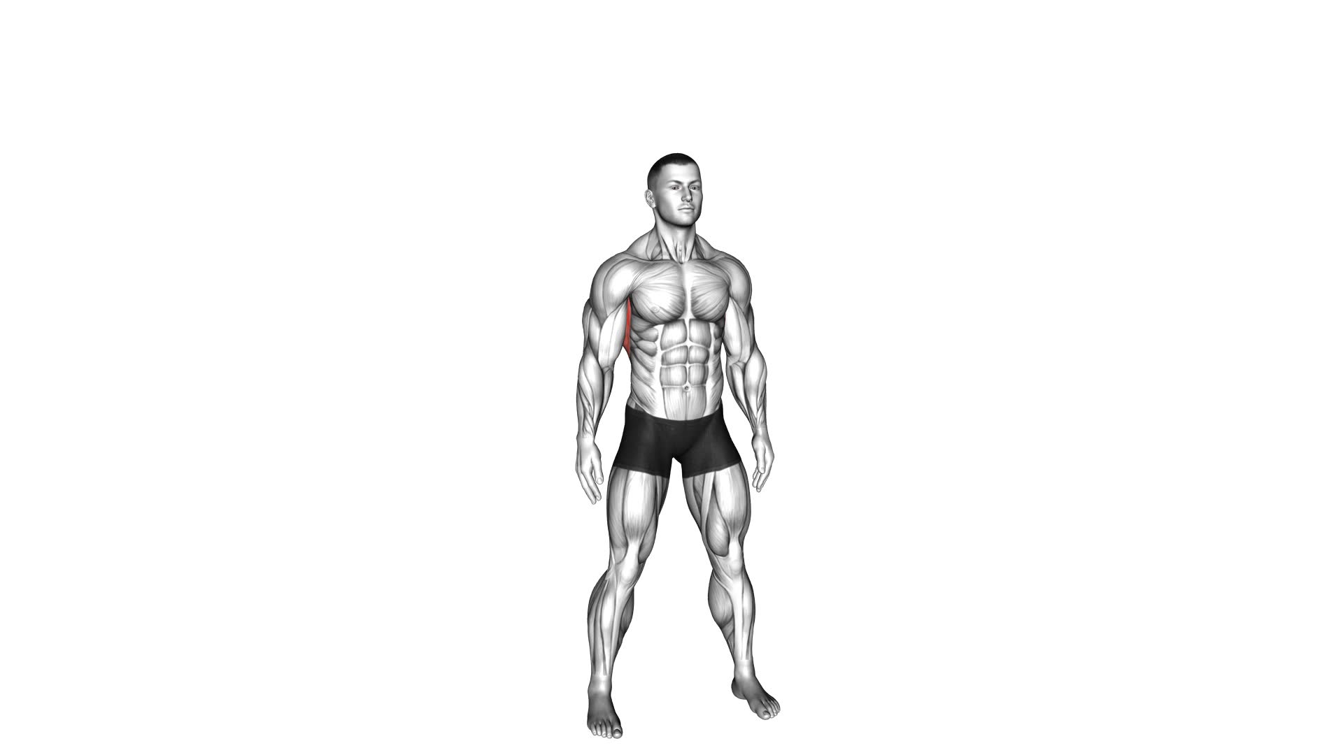 Slopes Towards Stretch (male) - Video Exercise Guide & Tips
