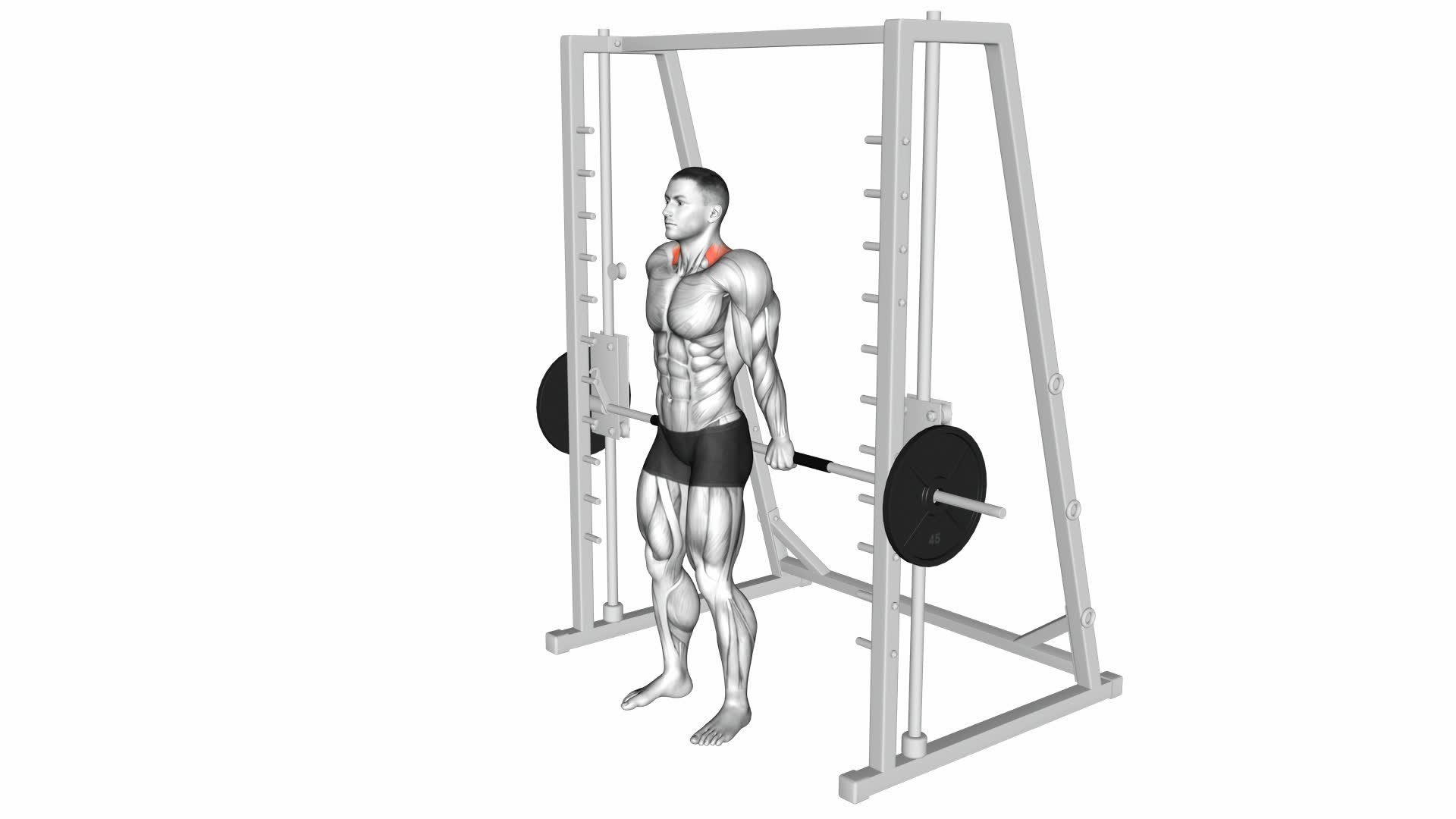 Smith Back Shrug - Video Exercise Guide & Tips
