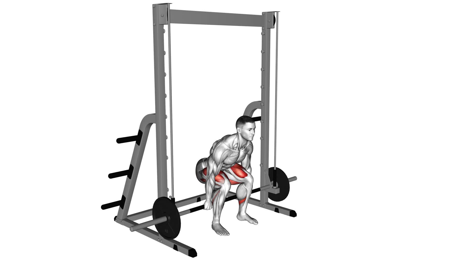 Smith Hack Squat - Video Exercise Guide & Tips