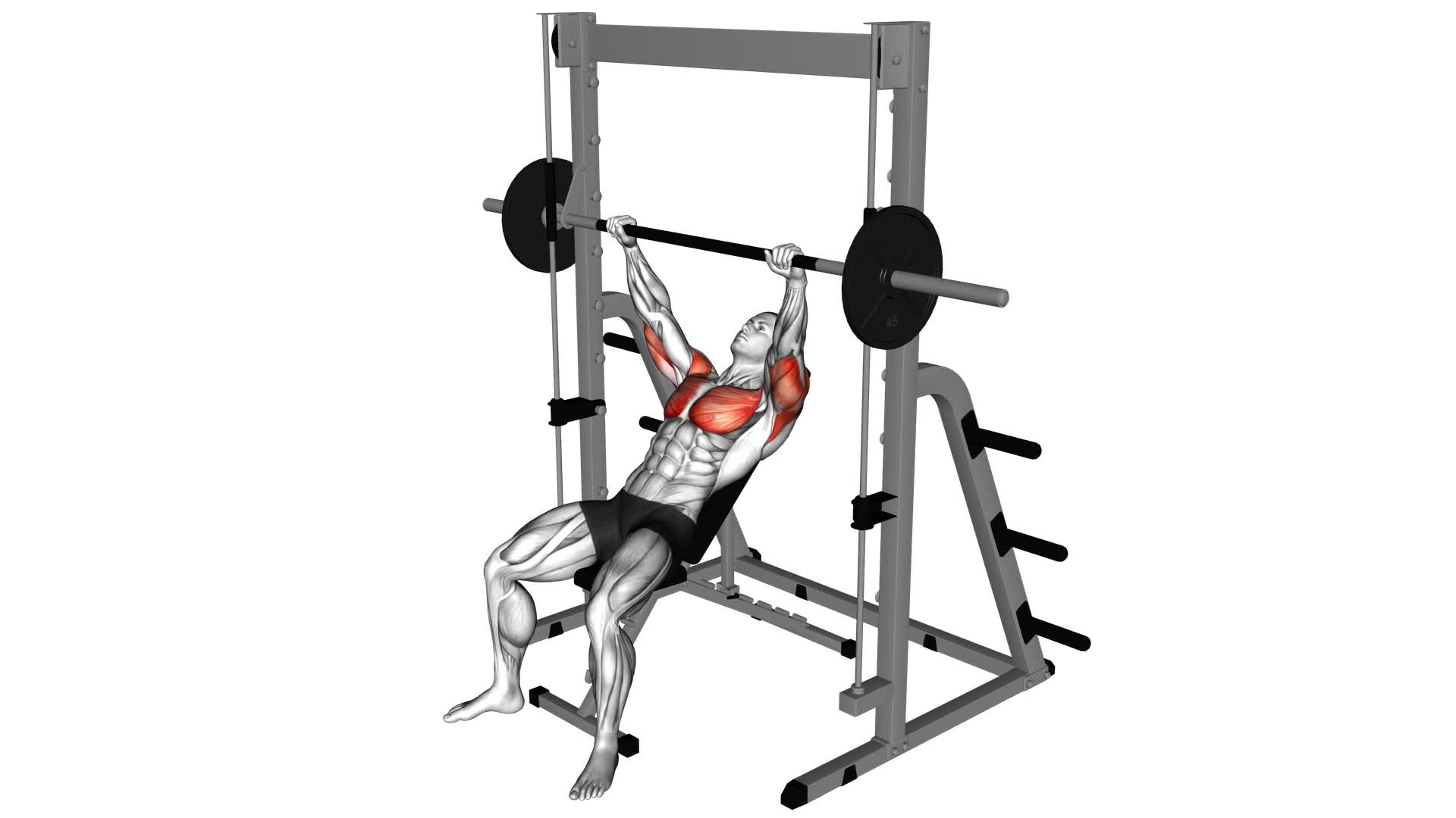Smith Incline Bench Press - Video Exercise Guide & Tips